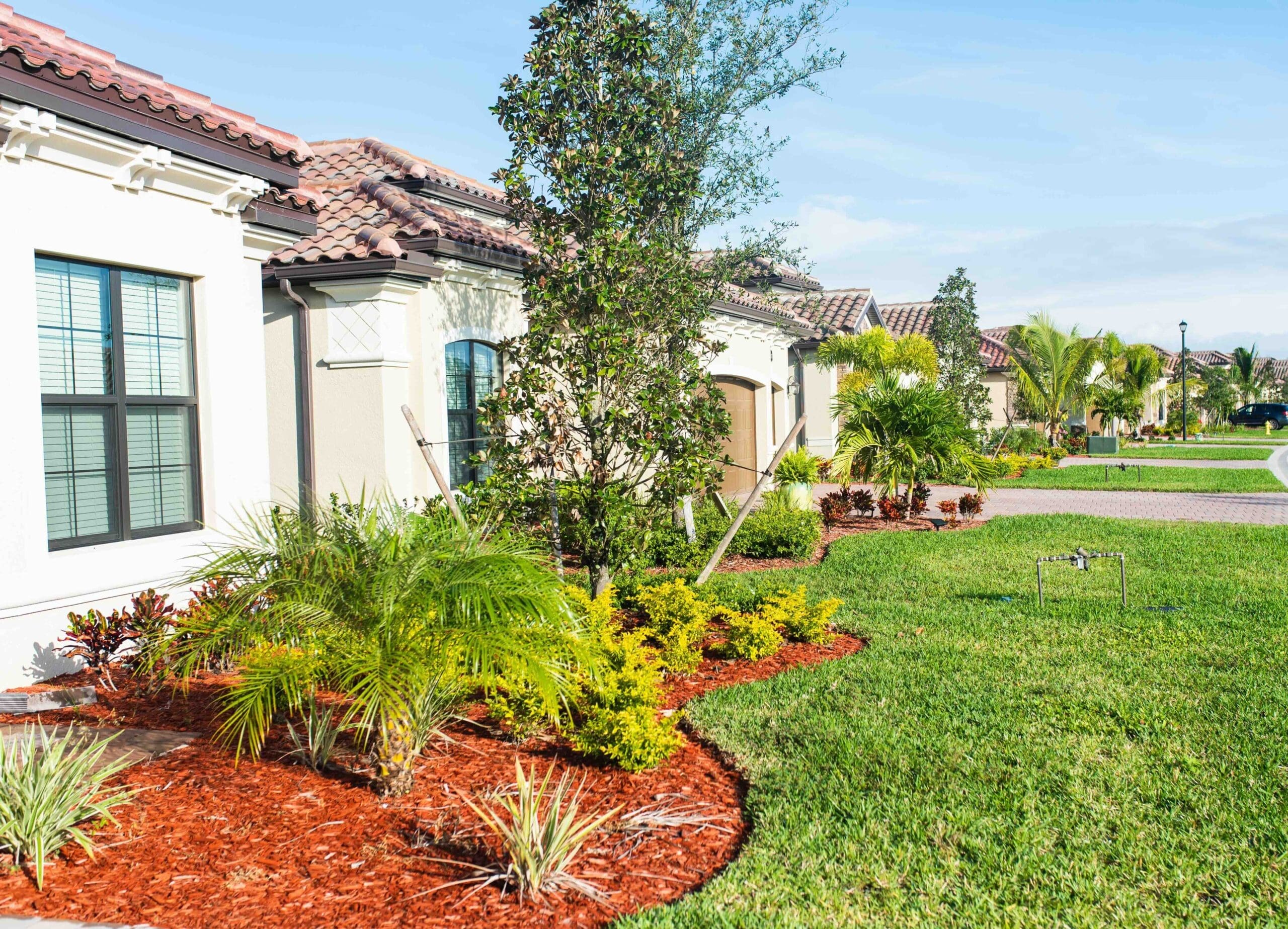 A photo of fall landscaping in Florida.